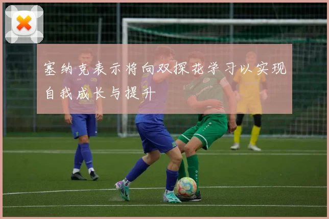 塞纳克表示将向双探花学习以实现自我成长与提升